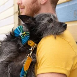 Noeud Papillon Pour Chien Shuka Blue -Chats Chiens Produits Magasin bowtie 621x621 06539c95 8a13 4e9c b5b3 6f21f0c90d94