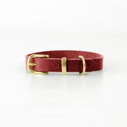 Collier Pour Chien En Cuir Souple The Classic -Chats Chiens Produits Magasin butter dog collar chili red