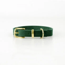 Collier Pour Chien En Cuir Souple The Classic -Chats Chiens Produits Magasin butter dog collar forest green