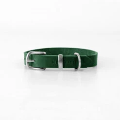 Collier Pour Chien En Cuir Souple The Classic -Chats Chiens Produits Magasin butter dog collar forest green 08f3e88f fa38 4ab2 8695 aa3e45bb41b1