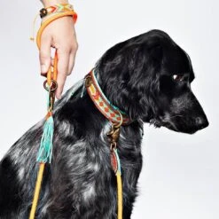 Laisse En Corde Dwam (8 Couleurs) -Chats Chiens Produits Magasin carrot cake hondenriem l dog leash l 7000 en G