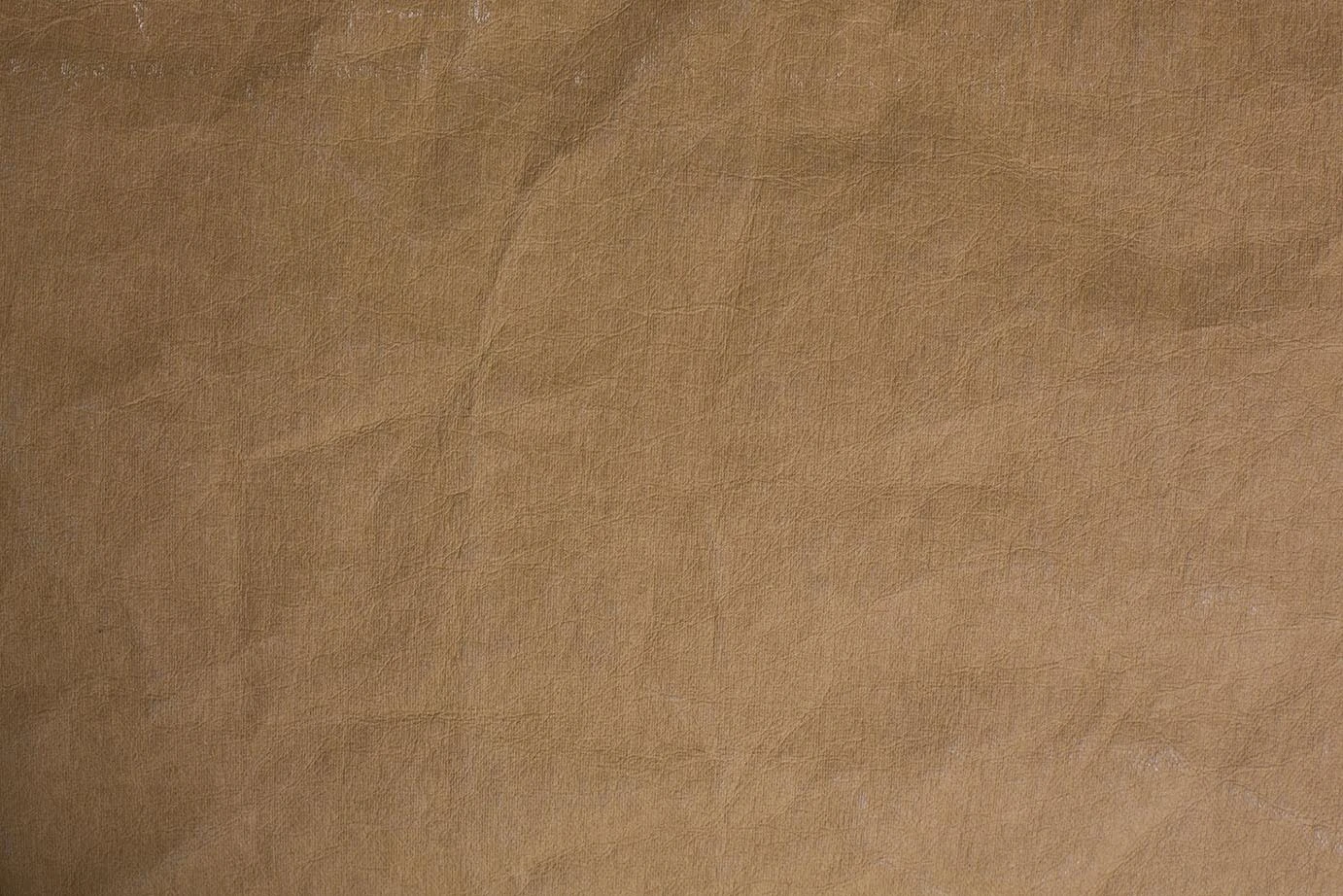 Coussin Pour Chat Et Chien Irvin (3 Couleurs) 12 Coussin Pour Chat Et Chien Irvin (3 Couleurs) – Image 12