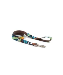 Collier Pour Chien Portlligat Tropical 6 Collier Pour Chien Portlligat Tropical -Chats Chiens Produits Magasin collar para perro brottdog textura portlligat ae47ed78 5321 4b95 a605 deb2f24a64f2