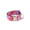Collier Pour Chien Sagaro Classique Et Martingale