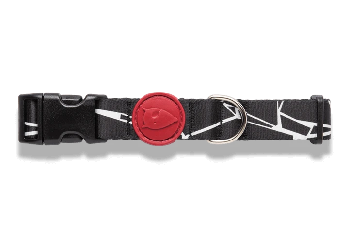 Collier Pour Chien Broken Self 2 Collier Pour Chien Broken Self – Image 2