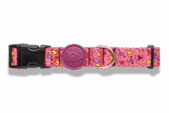 Collier Pour Chien Pink Think -Chats Chiens Produits Magasin collare pink think header top transparent b