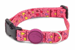 Collier Pour Chien Pink Think