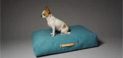 Coussin Pour Chien De Style Nordique -Chats Chiens Produits Magasin copenhagen 304f93e1 dbea 4096 a2de 8eff2bafeefe