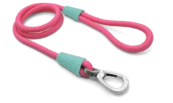 Laisse Pour Chien En Corde Morso -Chats Chiens Produits Magasin corda fucsia gommino celeste