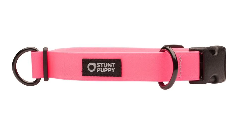 Collier Pour Chien Imperméable En Biothane 1 Collier Pour Chien Imperméable En Biothane