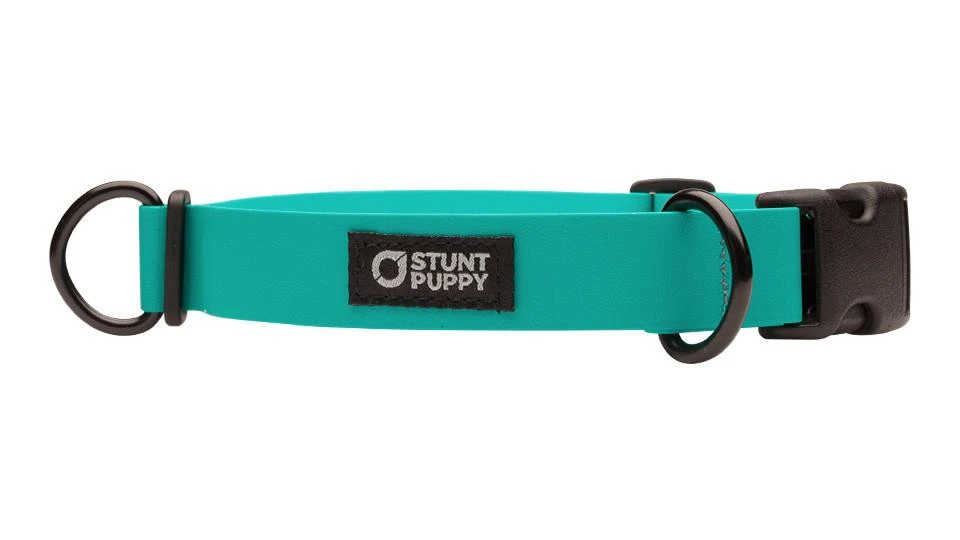 Collier Pour Chien Imperméable En Biothane 2 Collier Pour Chien Imperméable En Biothane – Image 2