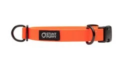 Collier Pour Chien Imperméable En Biothane 13 Collier Pour Chien Imperméable En Biothane -Chats Chiens Produits Magasin dcs orange 1024x1024 7e70fe19 45a5 4330 a625 3b5dd454a229