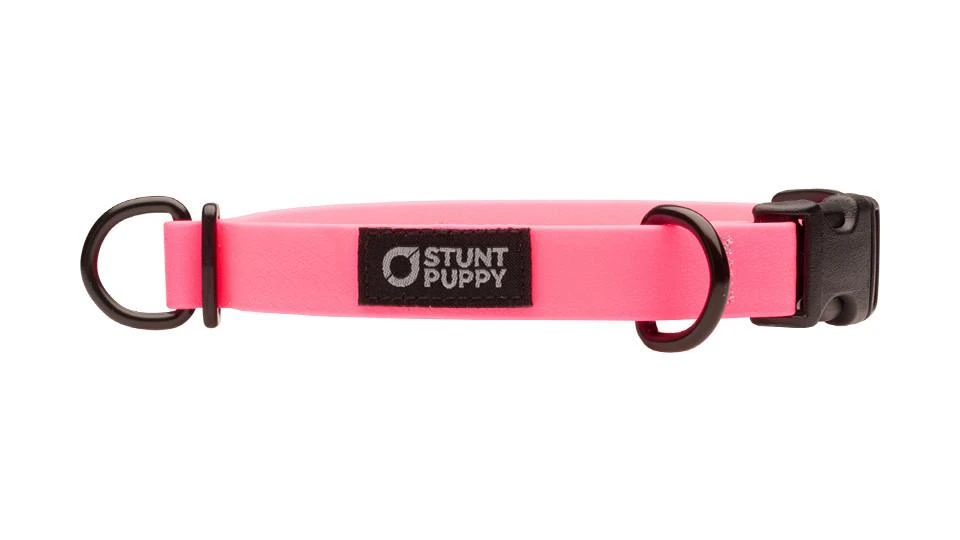 Collier Pour Chien Imperméable En Biothane 4 Collier Pour Chien Imperméable En Biothane – Image 4