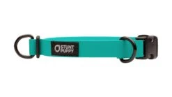 Collier Pour Chien Imperméable En Biothane 12 Collier Pour Chien Imperméable En Biothane -Chats Chiens Produits Magasin dcs teal 1024x1024 5b11fb85 3252 4a40 81e3 b6118a7ac963