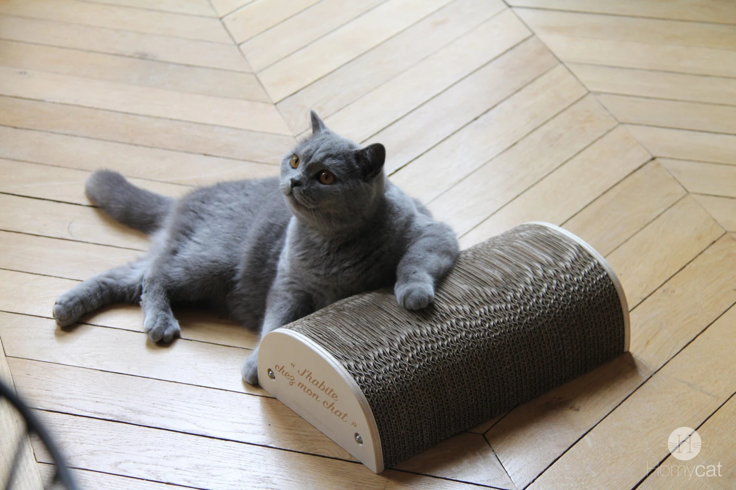 Griffoir Pour Chat Demi-rond Homycat 2 Griffoir Pour Chat Demi-rond Homycat – Image 2