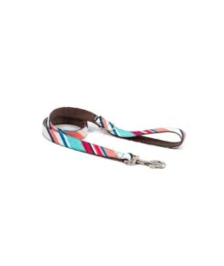 Collier Pour Chien Morisca Classique Et Martingale 6 Collier Pour Chien Morisca Classique Et Martingale -Chats Chiens Produits Magasin dog collar brottdog textura morisca 42597f3d eb85 41f6 9727 3aaab72dddba