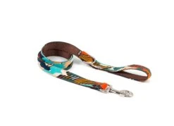 Laisse Pour Chien Torms