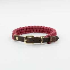 Collier Pour Chien En Corde Marine Sangle Cuir -Chats Chiens Produits Magasin dsc 0224 1