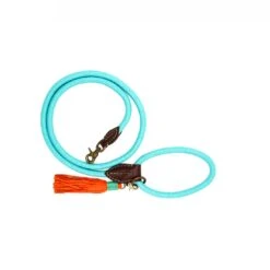 Laisse En Corde Dwam (8 Couleurs) -Chats Chiens Produits Magasin dwam turquoise dog leash s 7994 en G