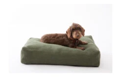 Coussin Pour Chien Elliott En Fibre De Jute (4 Couleurs) -Chats Chiens Produits Magasin elliott jute cushions ed87b35c dc71 41f8 adc7 1e108cebccc3