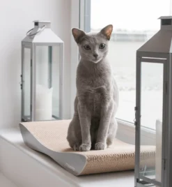 Griffoir En Carton Pour Chat Design TOBI 15 Griffoir En Carton Pour Chat Design TOBI -Chats Chiens Produits Magasin eng pl Scratcher TOBI grey 74 9