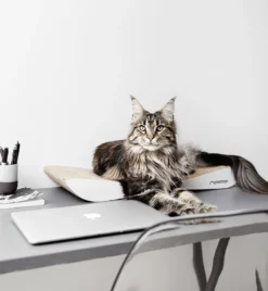 Griffoir En Carton Pour Chat Design TOBI 12 Griffoir En Carton Pour Chat Design TOBI -Chats Chiens Produits Magasin eng pl Scratcher TOBI white 19 6