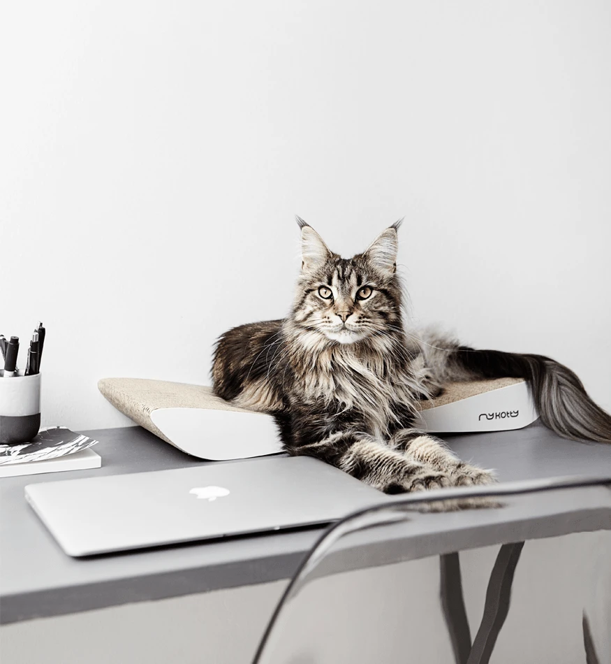 Griffoir En Carton Pour Chat Design TOBI 5 Griffoir En Carton Pour Chat Design TOBI – Image 5