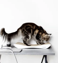 Griffoir En Carton Pour Chat Design TOBI 13 Griffoir En Carton Pour Chat Design TOBI -Chats Chiens Produits Magasin eng pl Scratcher TOBI white 19 7