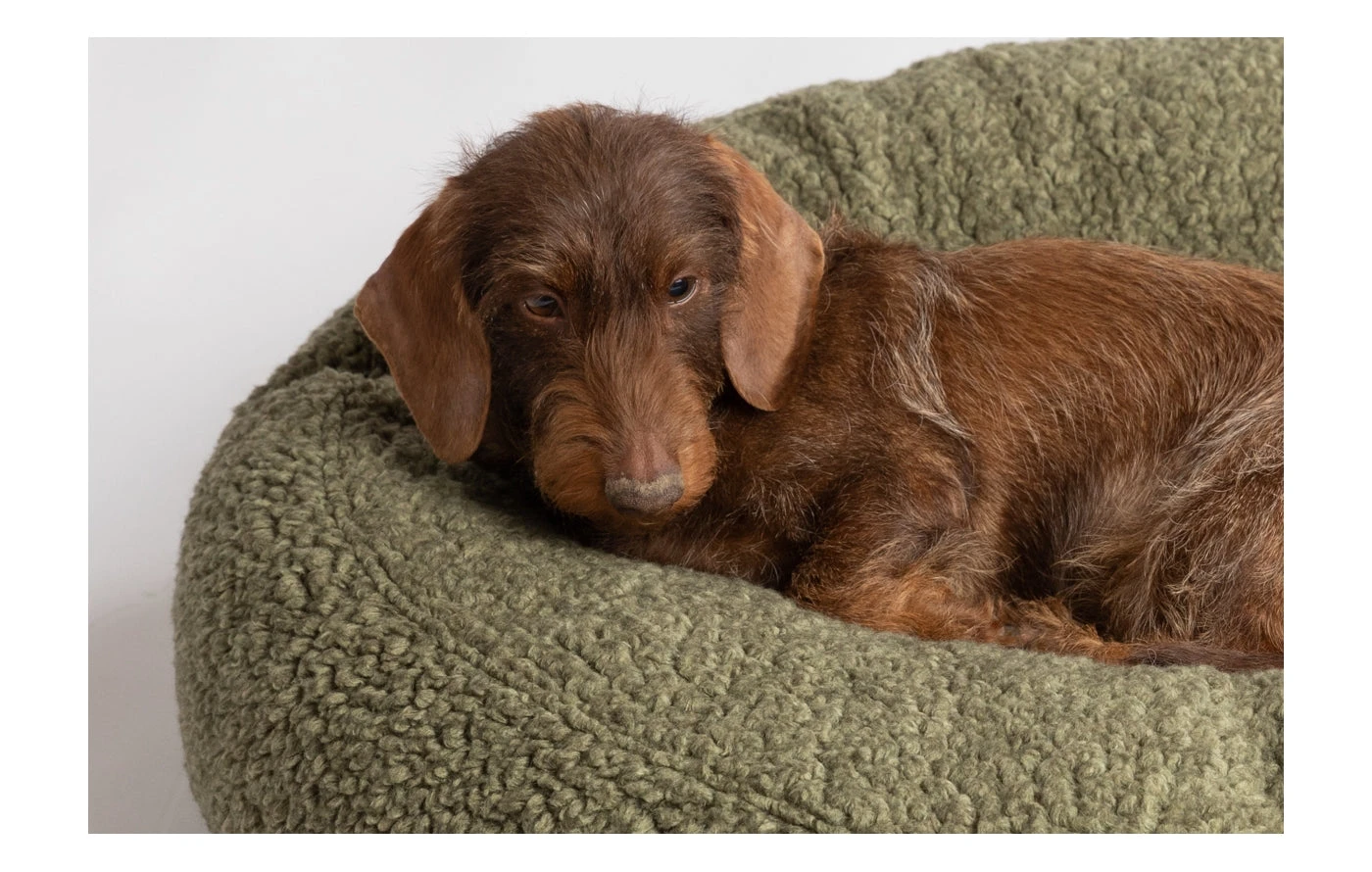 Coussin Apaisant Pour Chien En Laine 3 Coussin Apaisant Pour Chien En Laine – Image 3