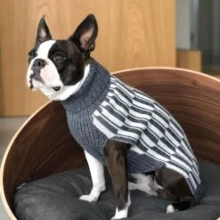 Pull Pour Chien Giulia -Chats Chiens Produits Magasin giulia grey life 1024x f7070200 1947 4996 b7bd dbb8e7167074