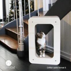 Griffoir Pour Chat Cadre XL Homycat