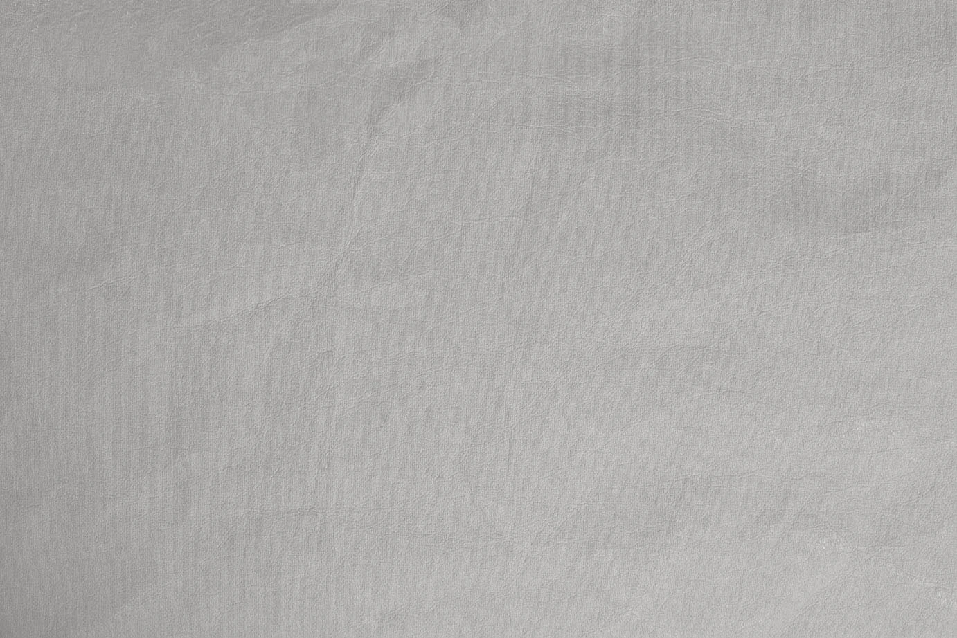 Coussin Pour Chat Et Chien Irvin (3 Couleurs) 14 Coussin Pour Chat Et Chien Irvin (3 Couleurs) – Image 14