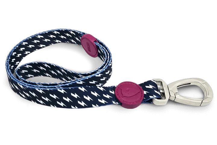 Laisse Power Flow 1 Laisse Power Flow