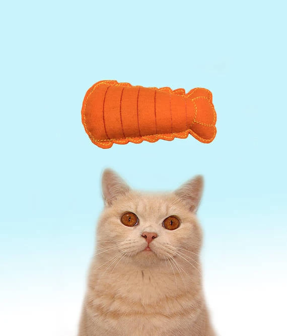 Jouet Pour Chat Queue De Homard à La Valériane 1 Jouet Pour Chat Queue De Homard à La Valériane