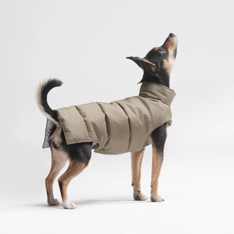 Manteau Pour Petit Chien 1 Manteau Pour Petit Chien
