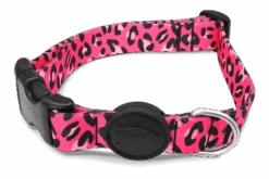 Collier Pour Chien Bubble Leo