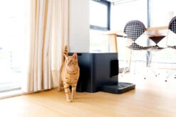 Bac à Litière Pour Chat Hoopo Dome Plus -Chats Chiens Produits Magasin image 4344ce67 f84c 4d41 b1a6 44ece2fdbffd