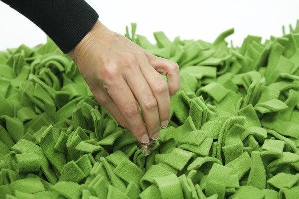 Tapis De Fouille Gazon Schnüffelrasen 3 Tapis De Fouille Gazon Schnüffelrasen – Image 3