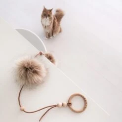 Jouet Pour Chat Musse 7 Jouet Pour Chat Musse -Chats Chiens Produits Magasin image 8fa99005 9fd3 4e8b aa78 99048da9157c