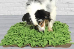 Tapis De Fouille Gazon Schnüffelrasen 7 Tapis De Fouille Gazon Schnüffelrasen -Chats Chiens Produits Magasin image b79f824c fdab 44fd a29b 8e1f14c77a04