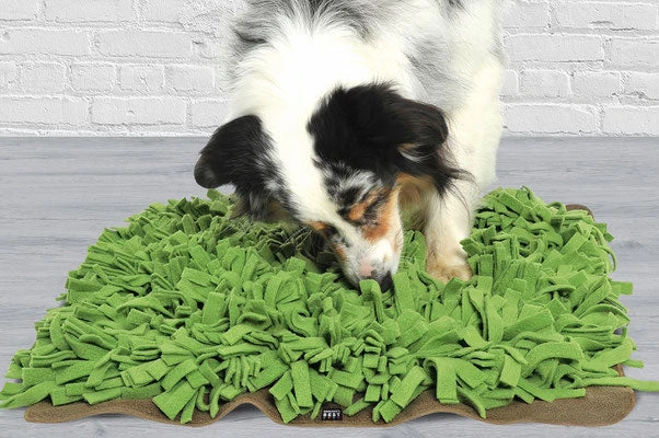 Tapis De Fouille Gazon Schnüffelrasen 4 Tapis De Fouille Gazon Schnüffelrasen – Image 4