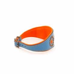 Collier Pour Lévrier En Cuir Dwam -Chats Chiens Produits Magasin image ba14bda9 e908 4bc5 8610 0dab6d9cc0ce