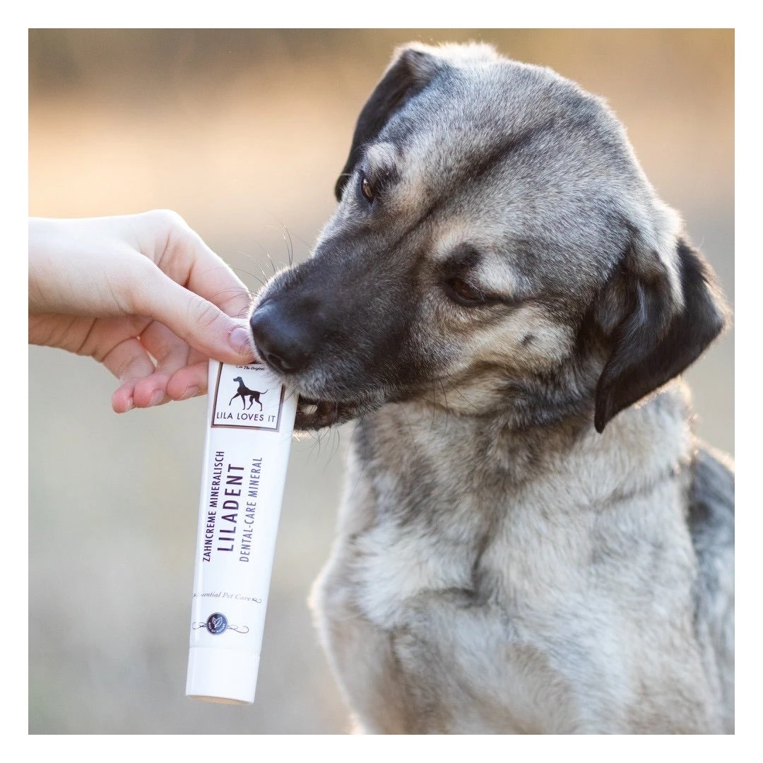 Dentifrice Naturel Pour Chien Et Chat 3 Dentifrice Naturel Pour Chien Et Chat – Image 3