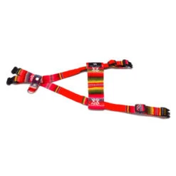 Harnais Pour Chien Inca Orange 6 Harnais Pour Chien Inca Orange -Chats Chiens Produits Magasin inca orange dog harness flat web 450x450 13caefbf 053c 44cf b33d 7a0ff0d3ec19