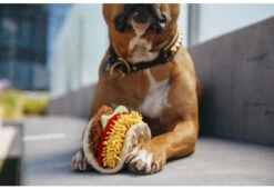 PLAY Peluche Tacos Pour Chien Collection International Classic 8 PLAY Peluche Tacos Pour Chien Collection International Classic -Chats Chiens Produits Magasin international classic toy collection by p.l.a.y. tail wagging taco