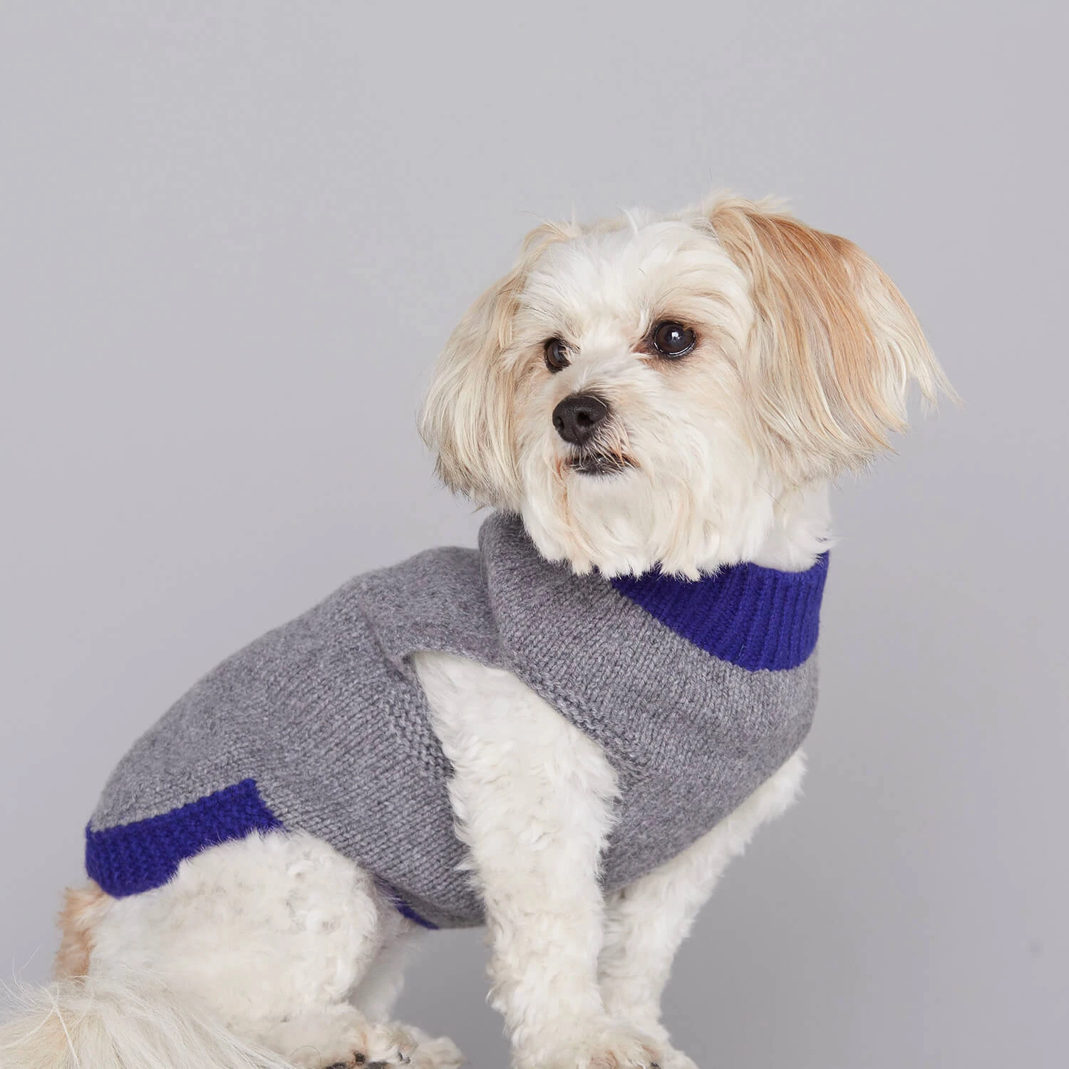 Pull En Laine Pour Chien Mark 3 Pull En Laine Pour Chien Mark – Image 3