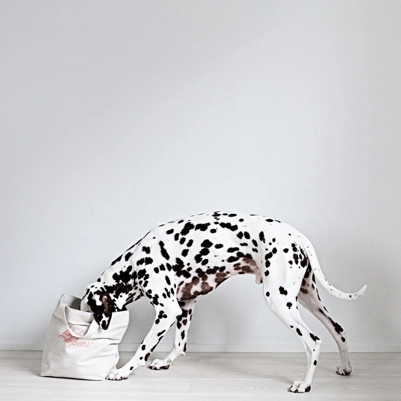 Sac De Rangement Pour Jouets Pour Chien 3 Sac De Rangement Pour Jouets Pour Chien – Image 3