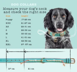 Collier En Cuir Paddy Lee Dwam 13 Collier En Cuir Paddy Lee Dwam -Chats Chiens Produits Magasin maattabel collars en cm