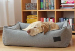 Panier Pour Chien Nube 8 Panier Pour Chien Nube -Chats Chiens Produits Magasin mc 17062 beds boxbed nube saltpepper m cara