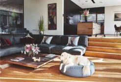 Pouf Pour Chien Stella 9 Pouf Pour Chien Stella -Chats Chiens Produits Magasin mc c01 015 02 ml sleep stella pouffe slate fly 132